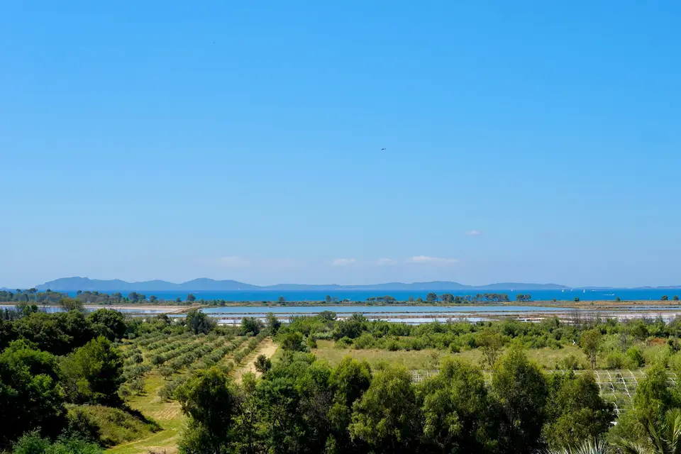 Château de la Pascalette — photo 1