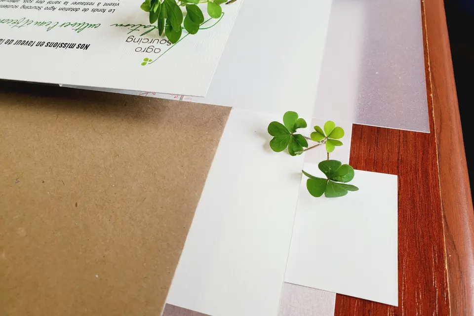 MatouBrillant — photo 8