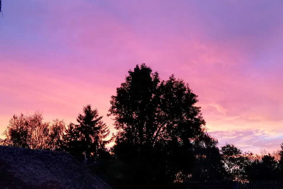 Domaine de la Ferme de Mont — photo 9