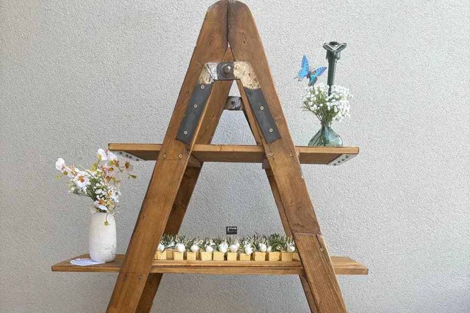 Olivier Contoli — photo 1