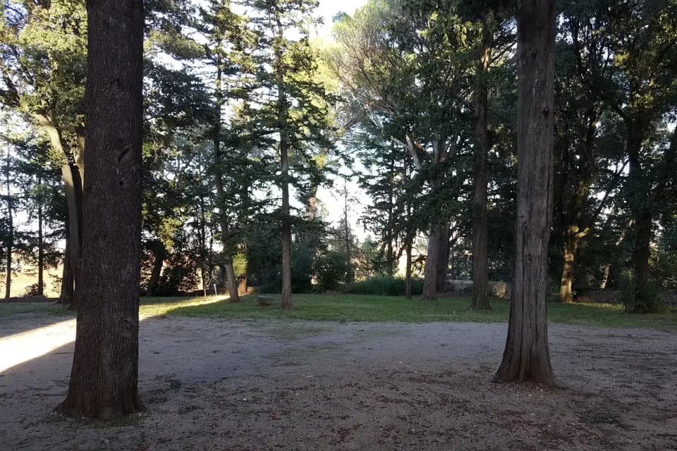 Domaine de la Tour — photo 6