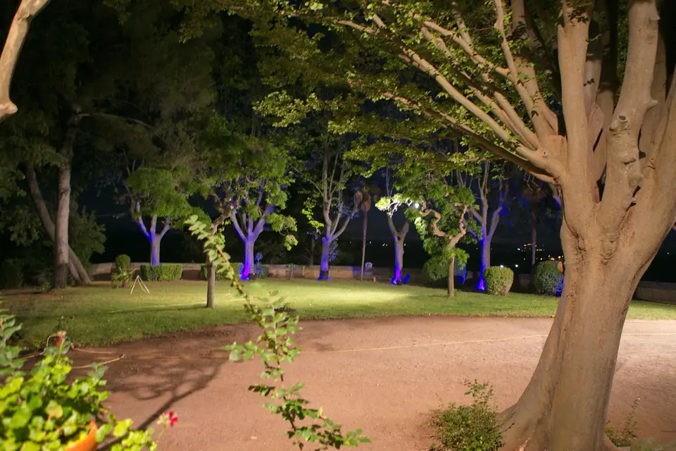 Domaine de la Tour — photo 7