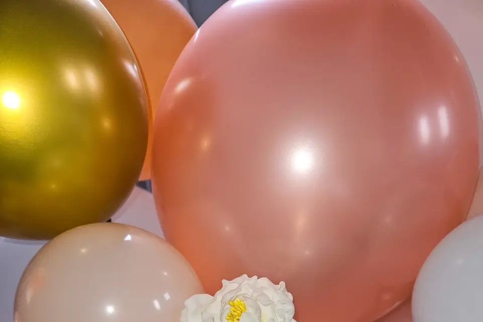 S.D Events — photo 2