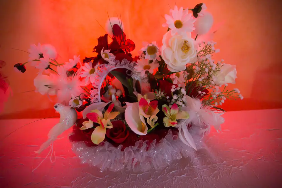 Marc Lapolla — photo 4