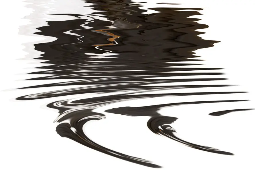 Marc Lapolla — photo 5