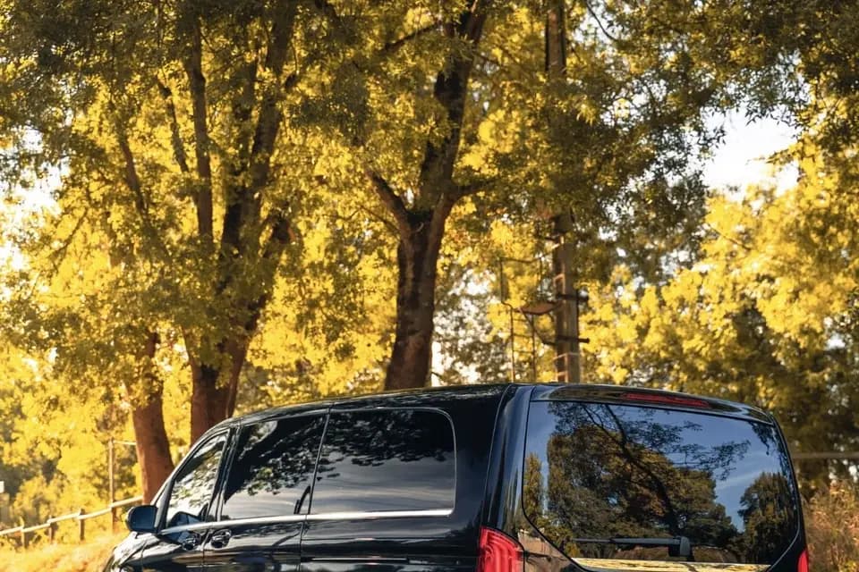 Prime VTC 49 — photo 4