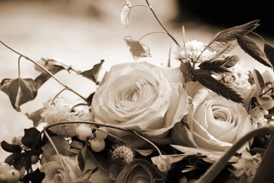 Nicolas Benhamou — photo 4