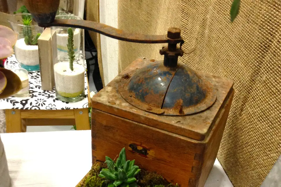 HDJ Mariages — photo 6