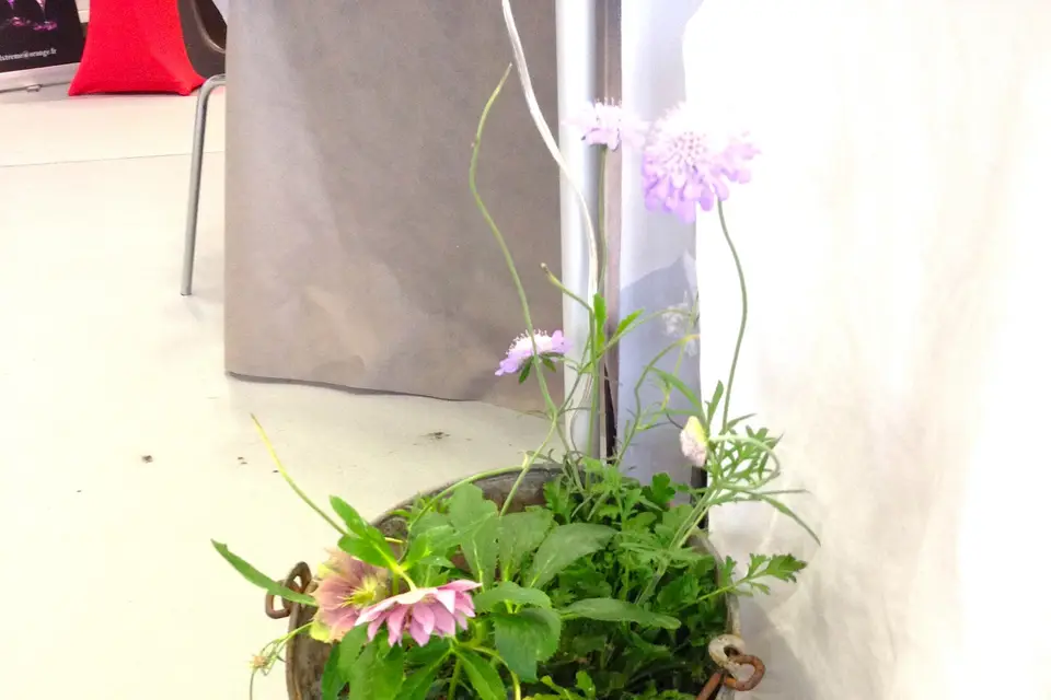 HDJ Mariages — photo 5