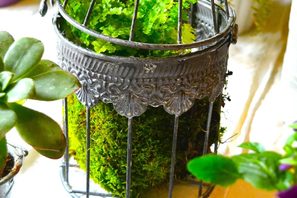 HDJ Mariages — photo 2