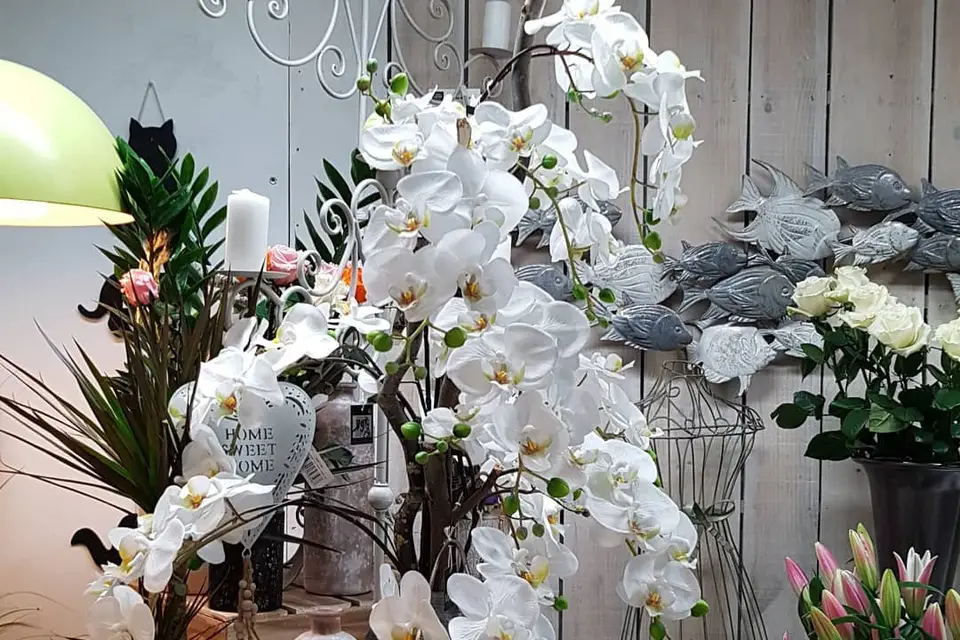 Fleurs et nature — photo 4