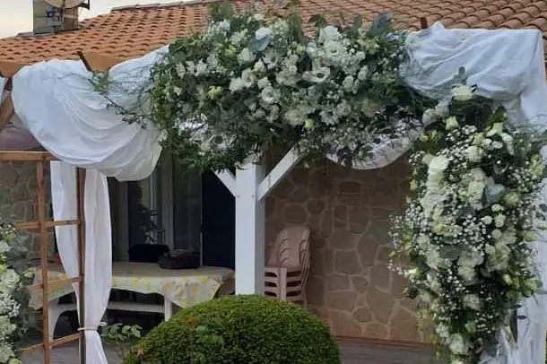 Fleurs et nature — photo 8