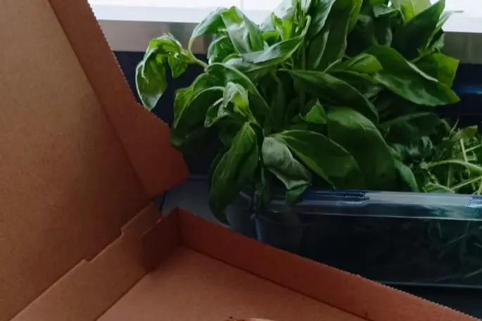 BigaPizza — photo 7