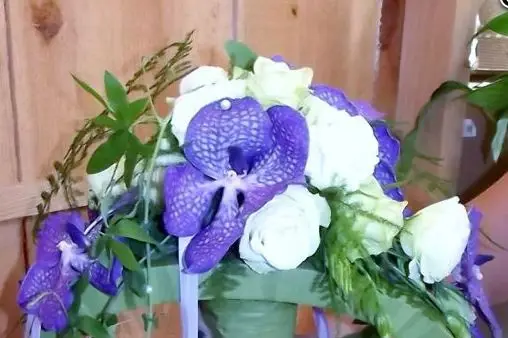 Flore & Sens — photo 2