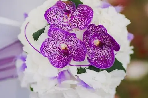 Flore & Sens — photo 4