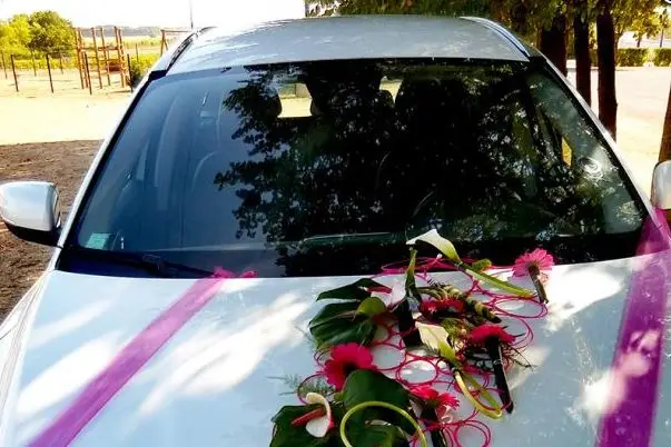 Flore & Sens — photo 7