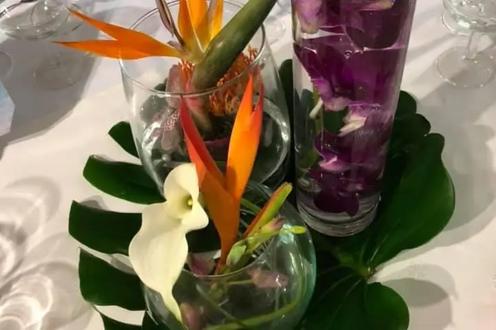 Margot Mesureux — photo 4