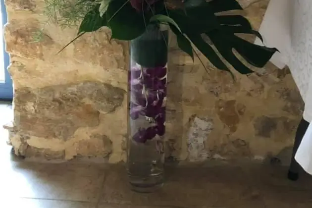 Margot Mesureux — photo 6