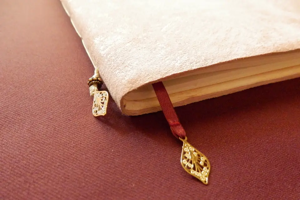 Elsa Millet - Calligraphie Illustration Enluminure — photo 4