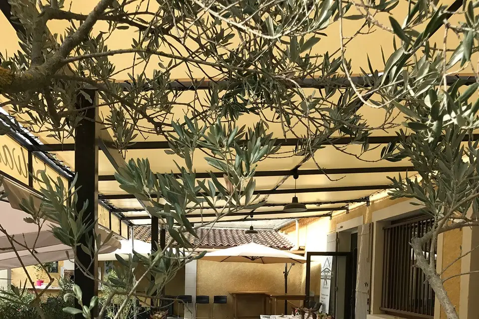 La Maison de Sylvanie — photo 8