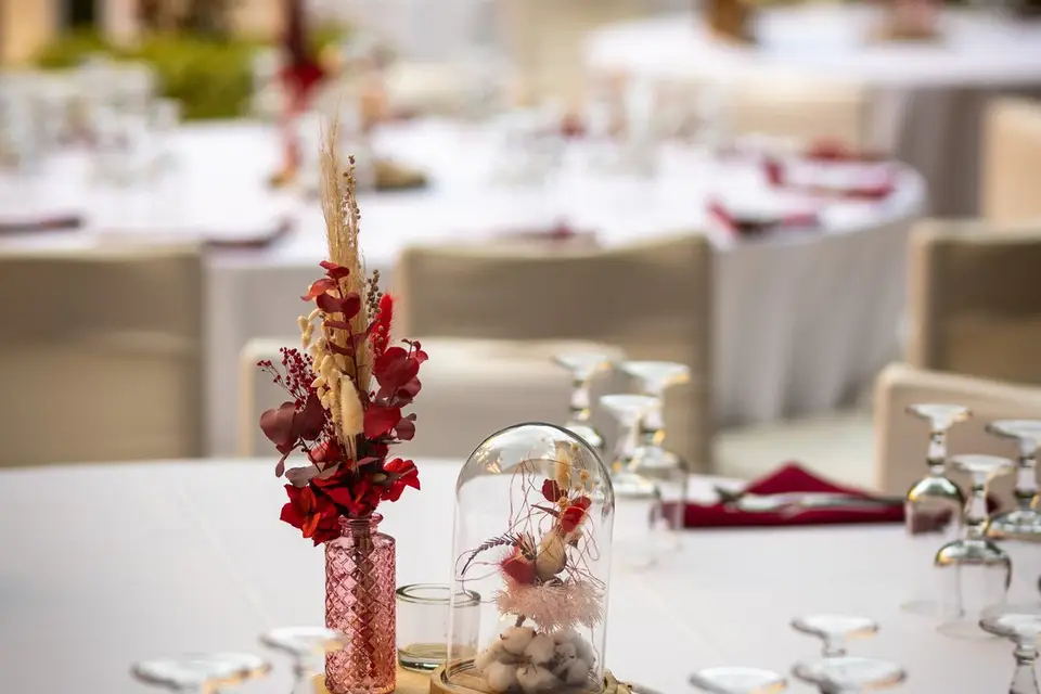 Ad Astra — photo 2