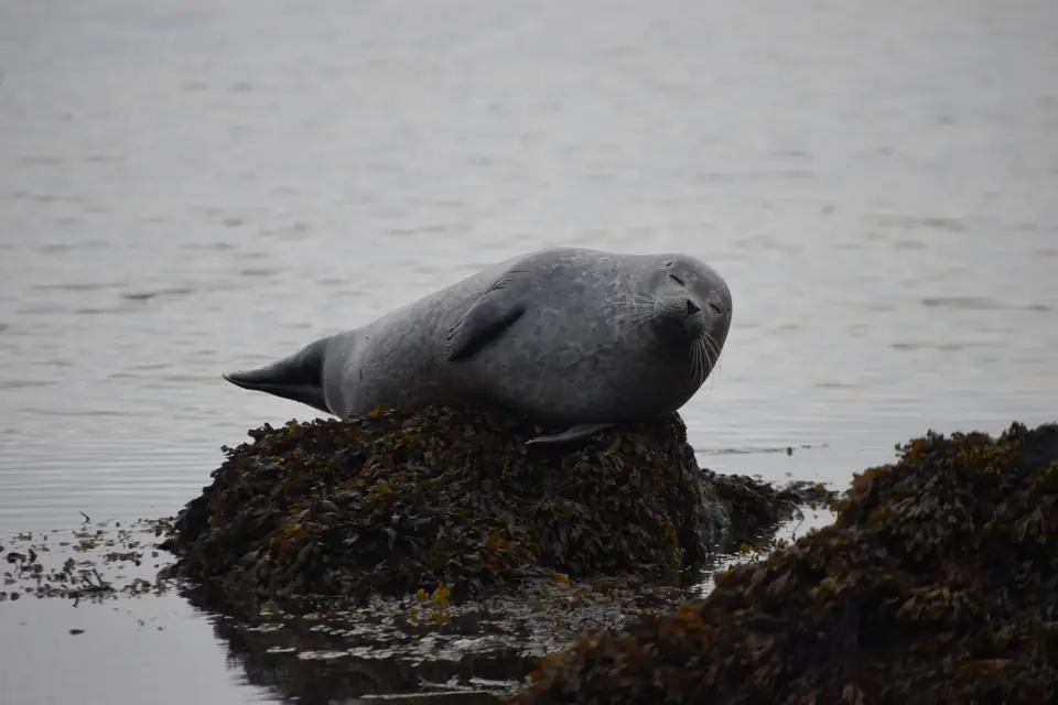 Omysun Travel — photo 1