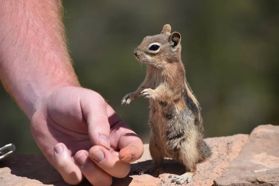 Omysun Travel — photo 4