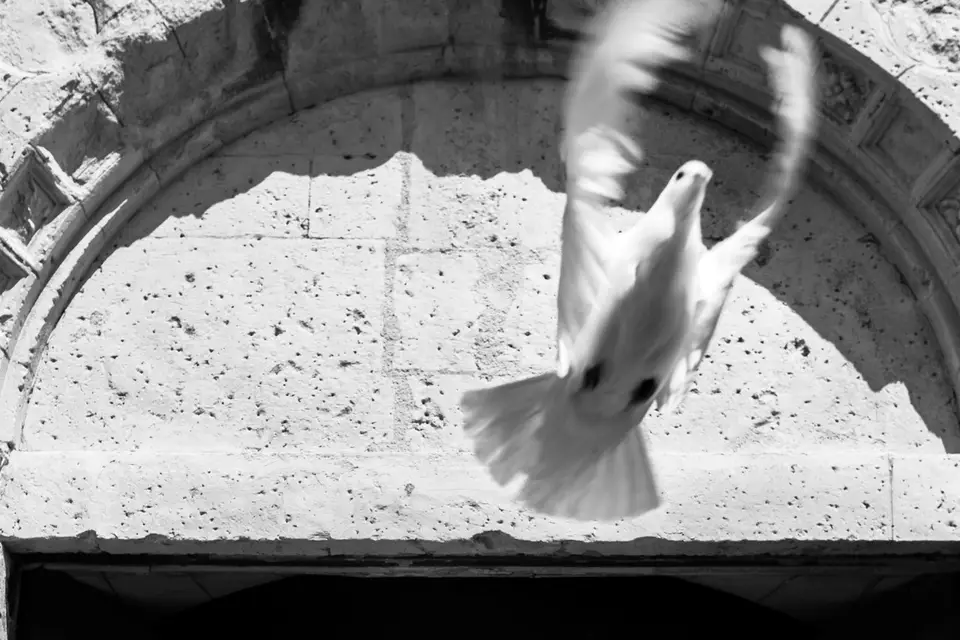 L'orée des nuits — photo 4