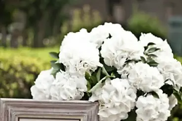 DKO'Fleurs — photo 2