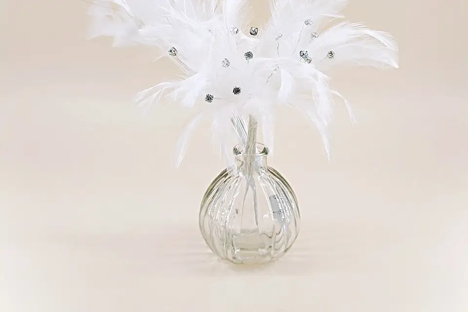 Plume Marcy — photo 3