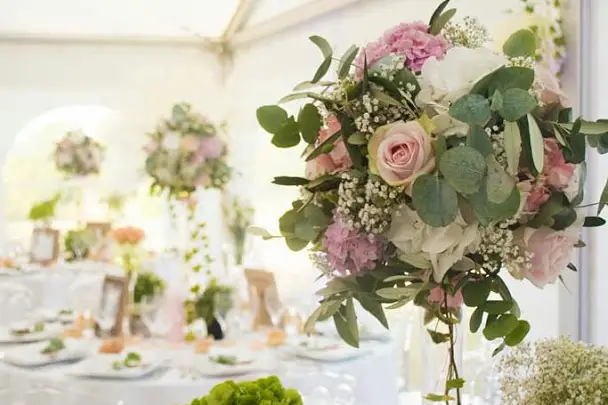 Yoshi Laurent Réception — photo 4