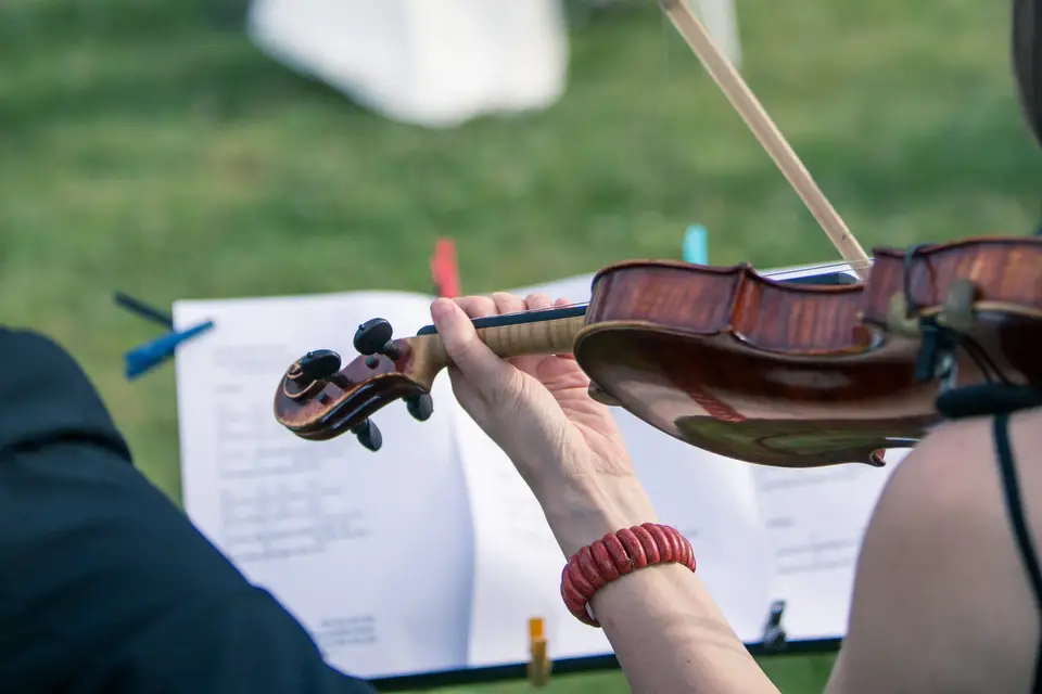 French Standard — photo 1