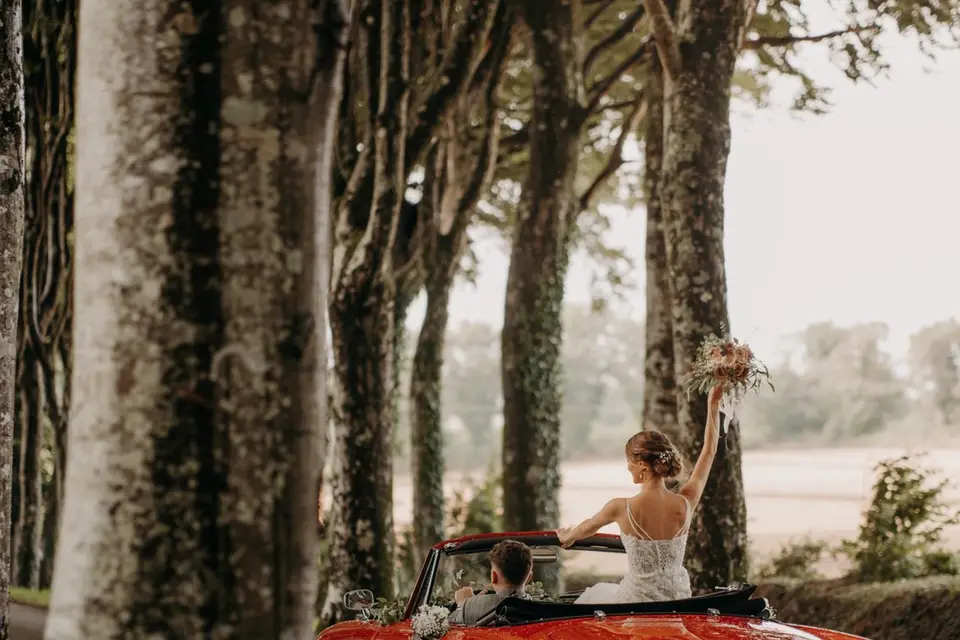 Damien Vidéaste — photo 2