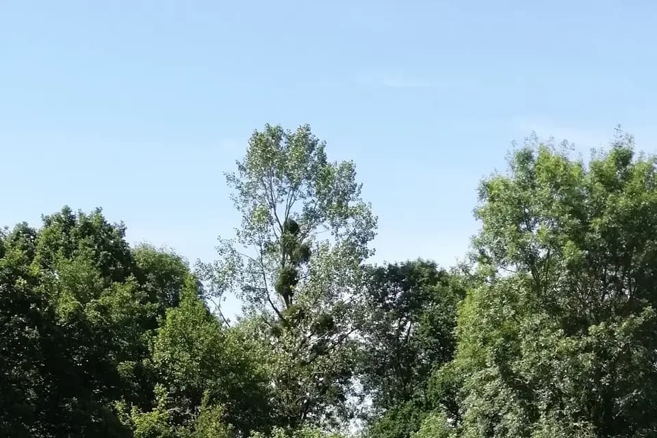 La Demeure du Pont — photo 6