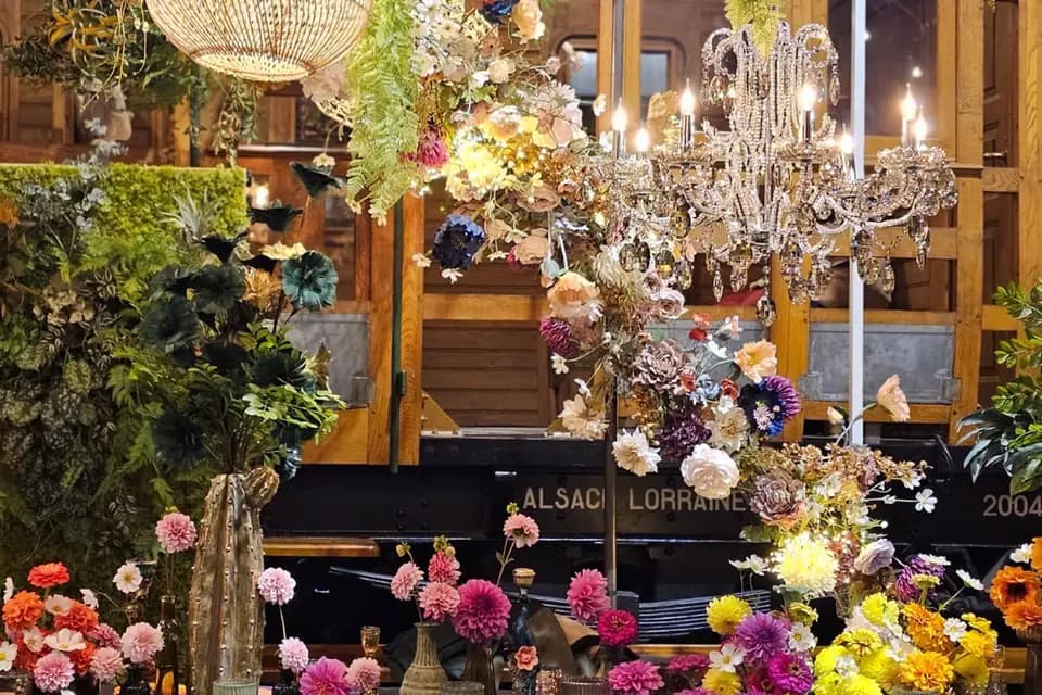 Les Mauvaises Herbes Event — photo 4