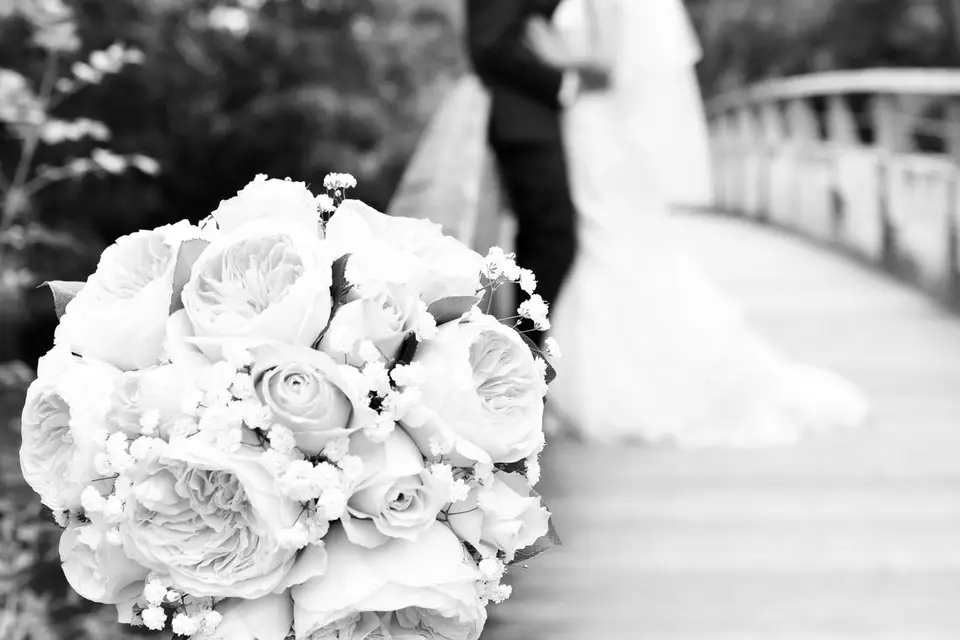 Centre du Vignaud — photo 2