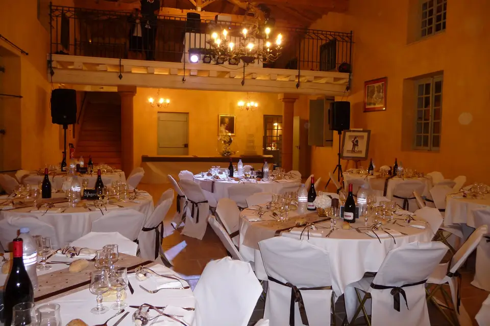 Housses de Chaises et Vases Martini — photo 1