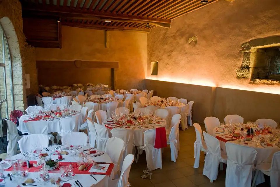 Housses de Chaises et Vases Martini — photo 3