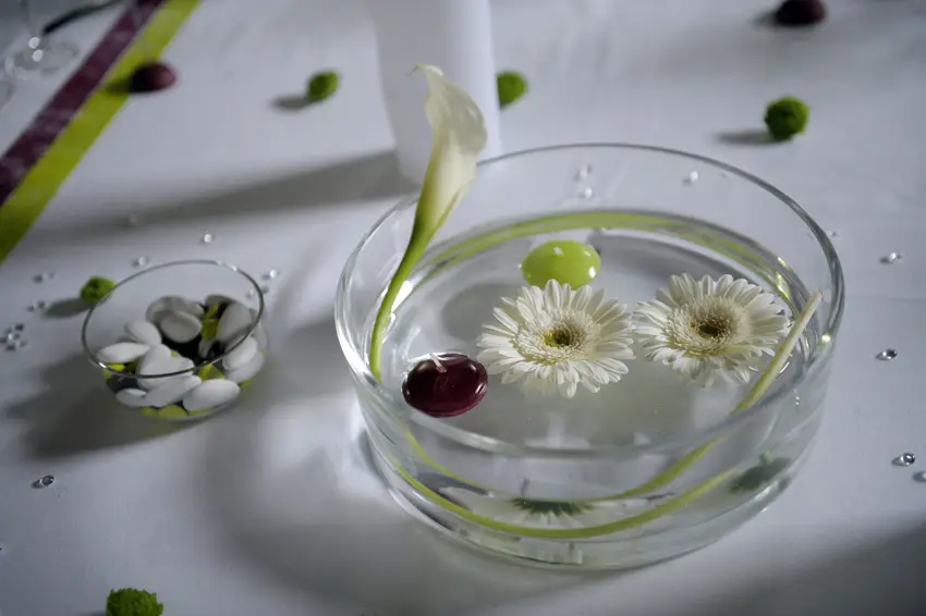 Housses de Chaises et Vases Martini — photo 5