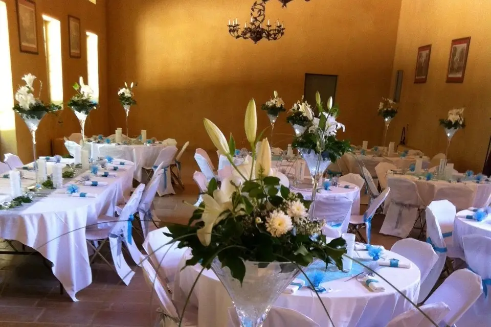 Housses de Chaises et Vases Martini — photo 4