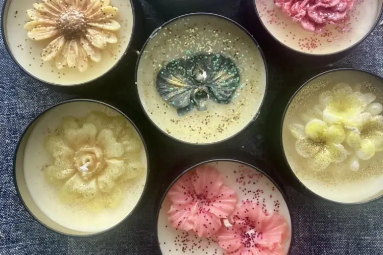 Les Folies de Nicole — photo 5