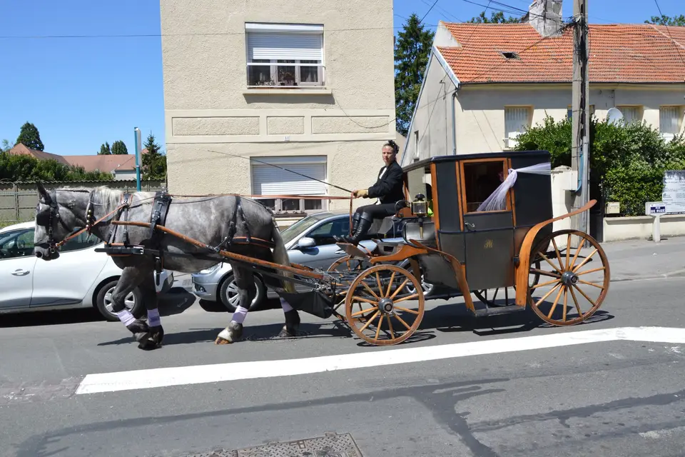 Les Calèches de l'Hautil — photo 4