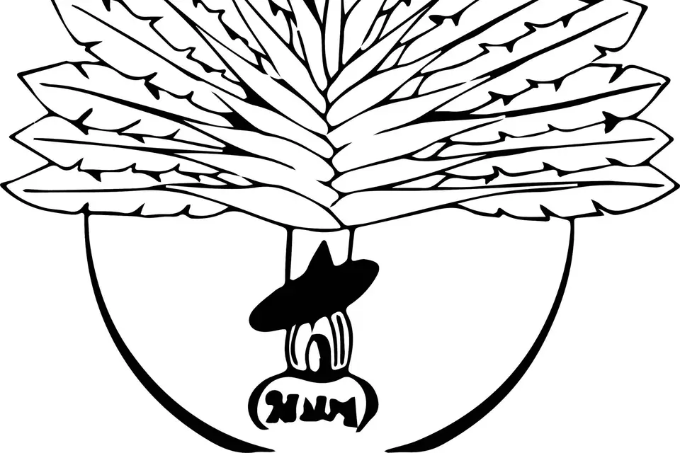 Richesse des Îles — photo 7