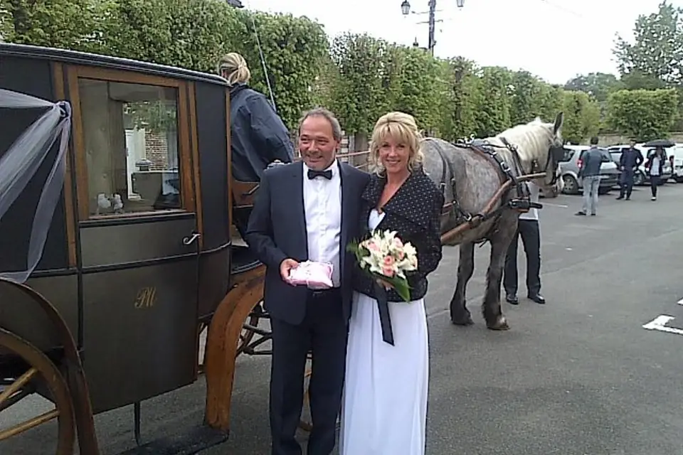 Les Calèches de l'Hautil — photo 7