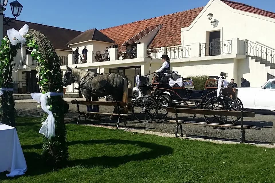 Les Calèches de l'Hautil — photo 8