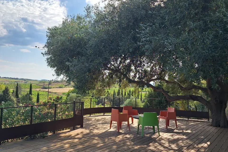 Château La Sabine — photo 3