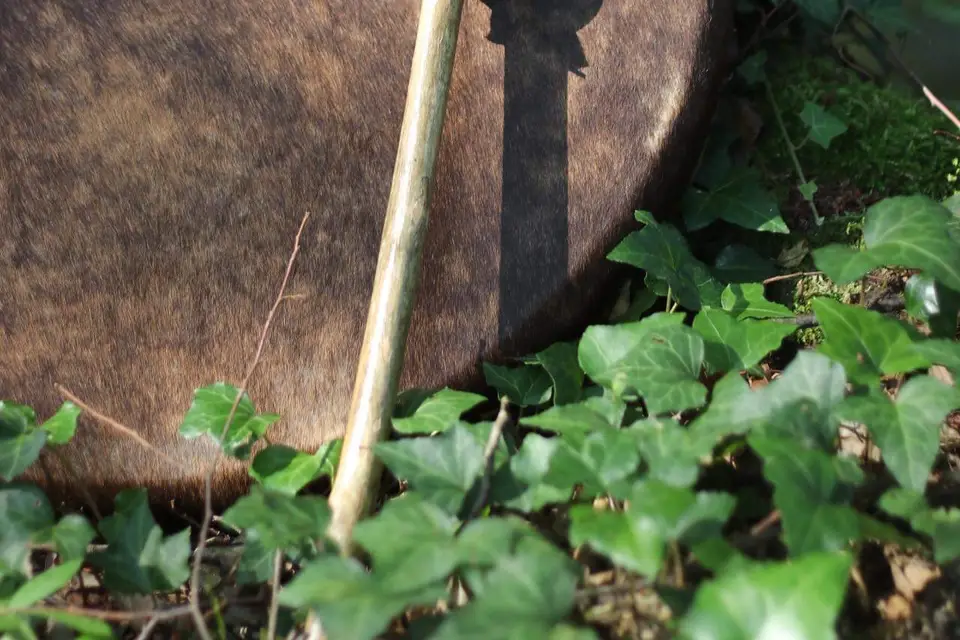 Céline Vial — photo 6