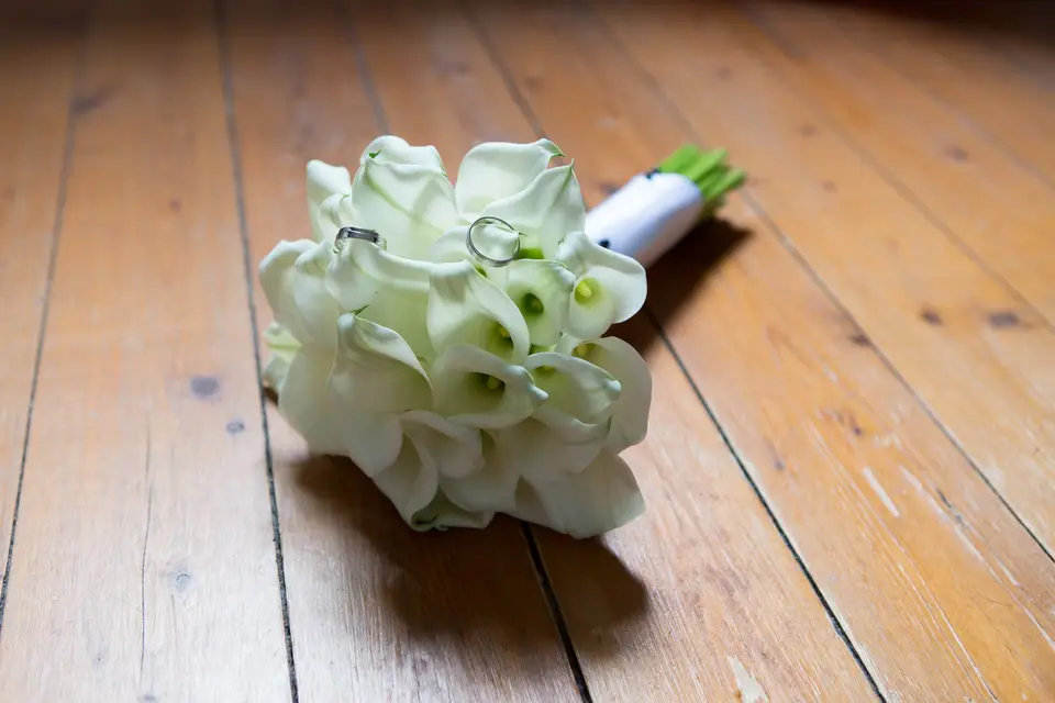 Anglephoto — photo 1