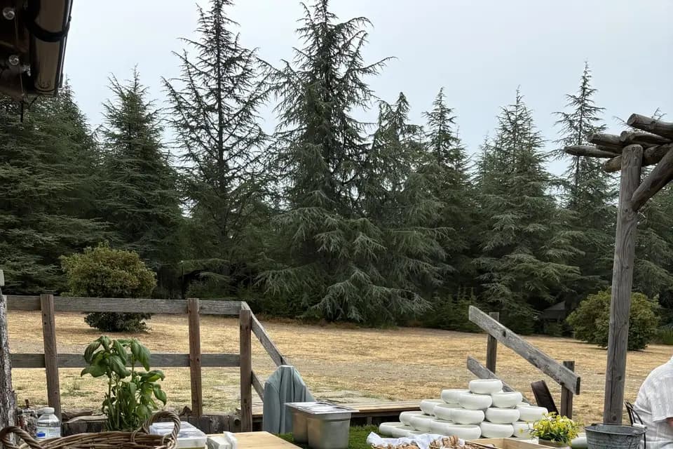 Le Titube Traiteur — photo 8