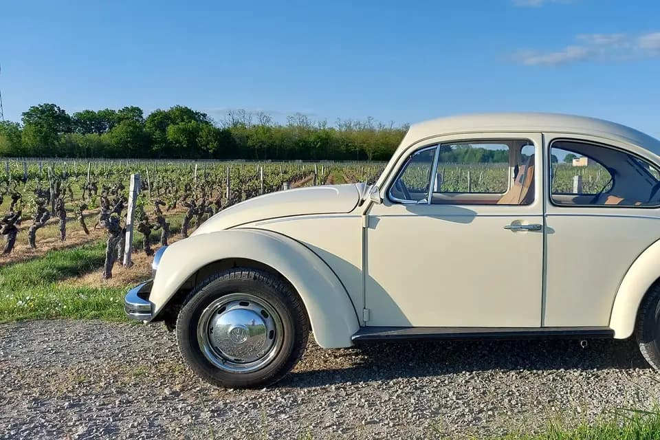 Mariage en Coccinelle — photo 5